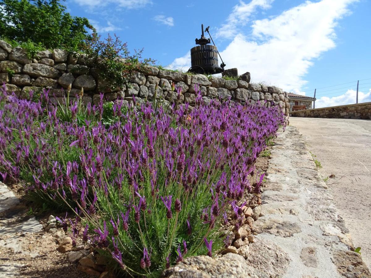 Domaine Des Hauts De Vernon Vernon  Εξωτερικό φωτογραφία