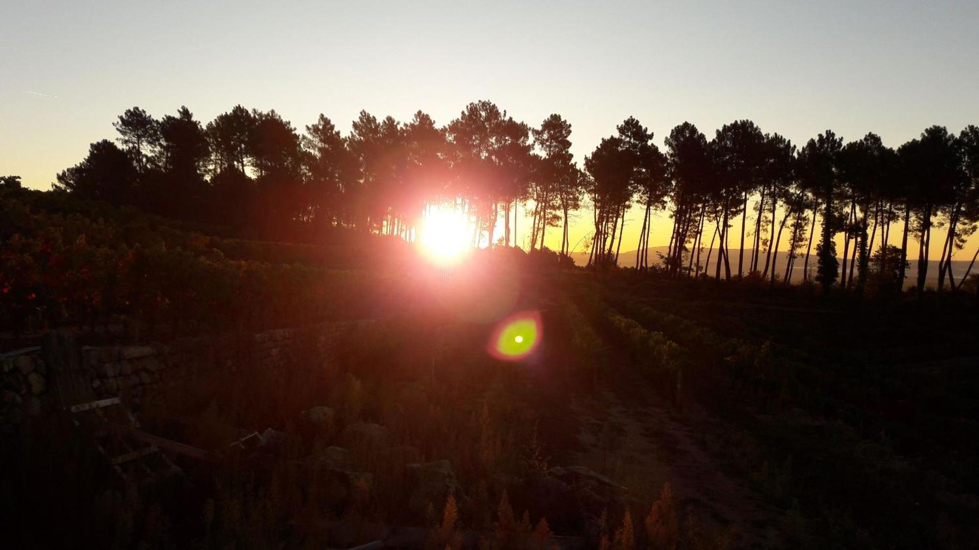 Domaine Des Hauts De Vernon Vernon  Εξωτερικό φωτογραφία